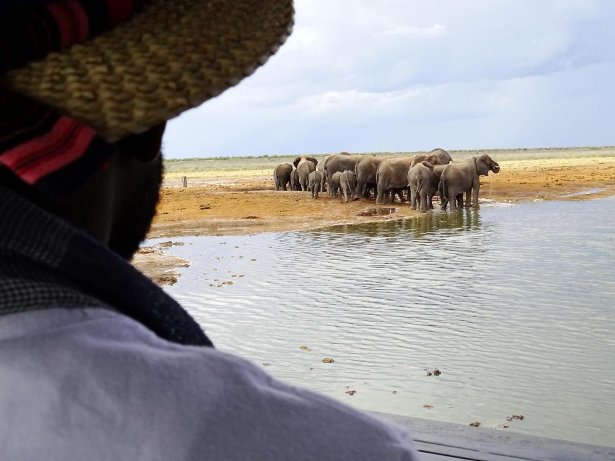 Etosha King Nehale Lodge Omuthiya Eksteriør bilde