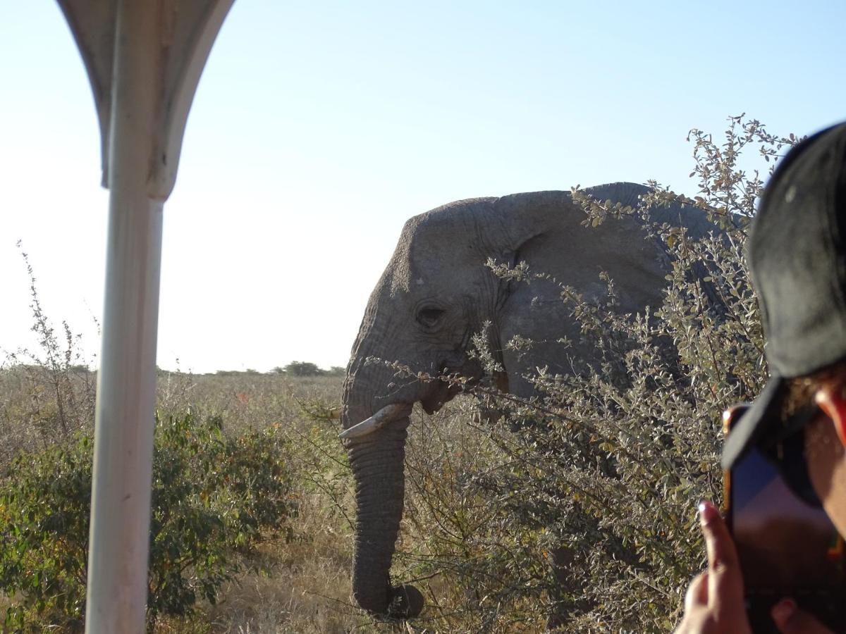Etosha King Nehale Lodge Omuthiya Eksteriør bilde